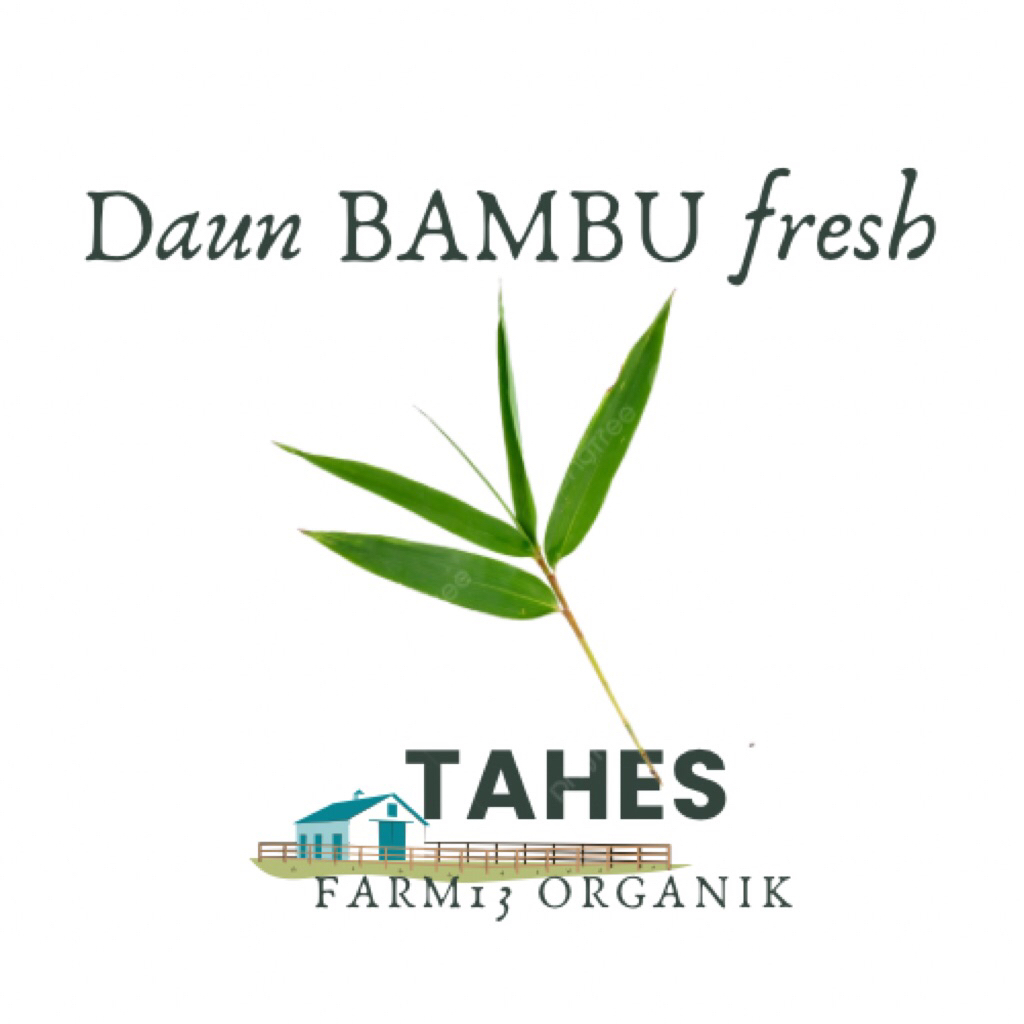 

Daun Bambu Fresh Per Satu Lembar DiPetik ketika Diorder Jadi fresh