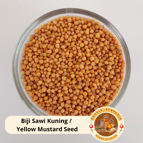 

Biji Sawi Kuning / Yellow Mustard Seed