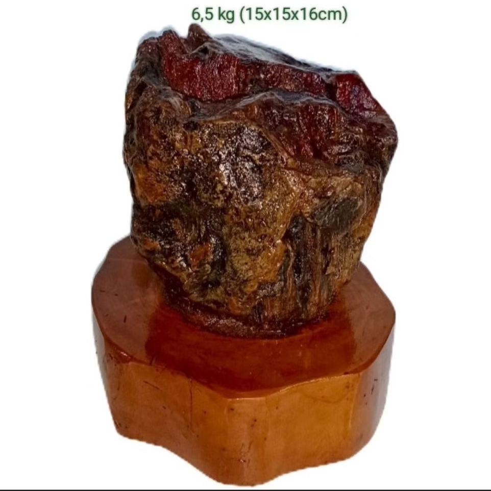 batu hias suiseki fosil kayu galih kelor (110)