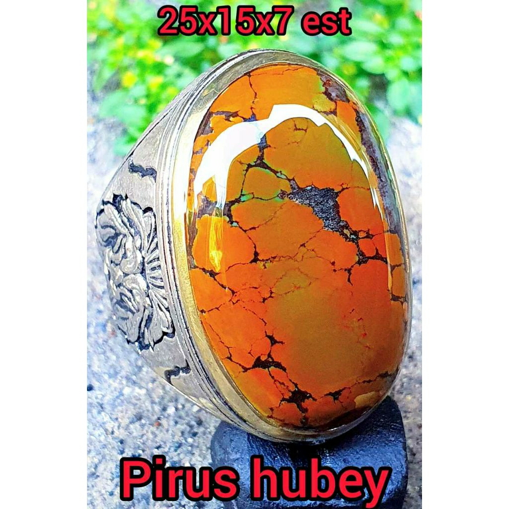 Pirus Hubei