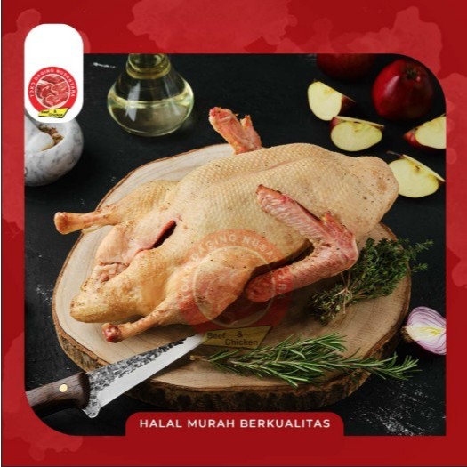 

BEBEK BEKU 0.8