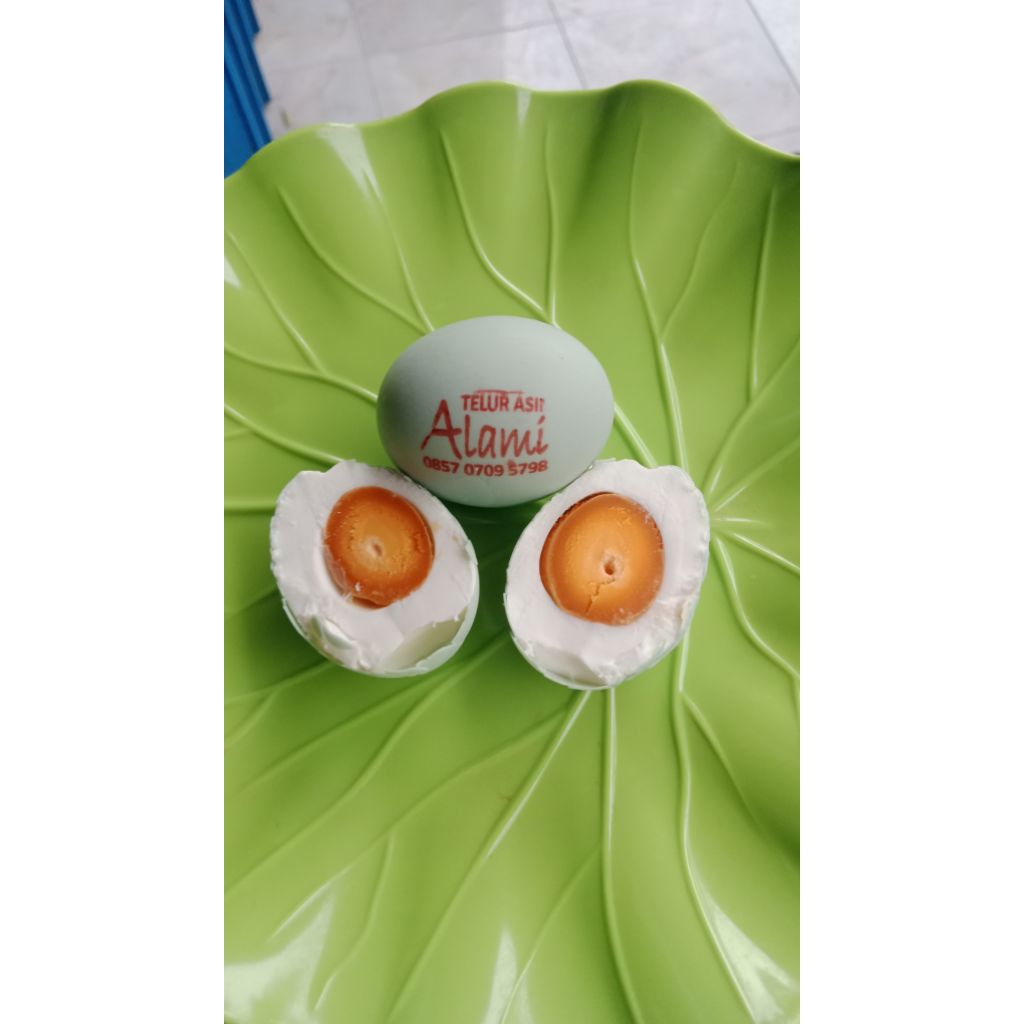 

Telur asin masir isi 10 pcs Termurah