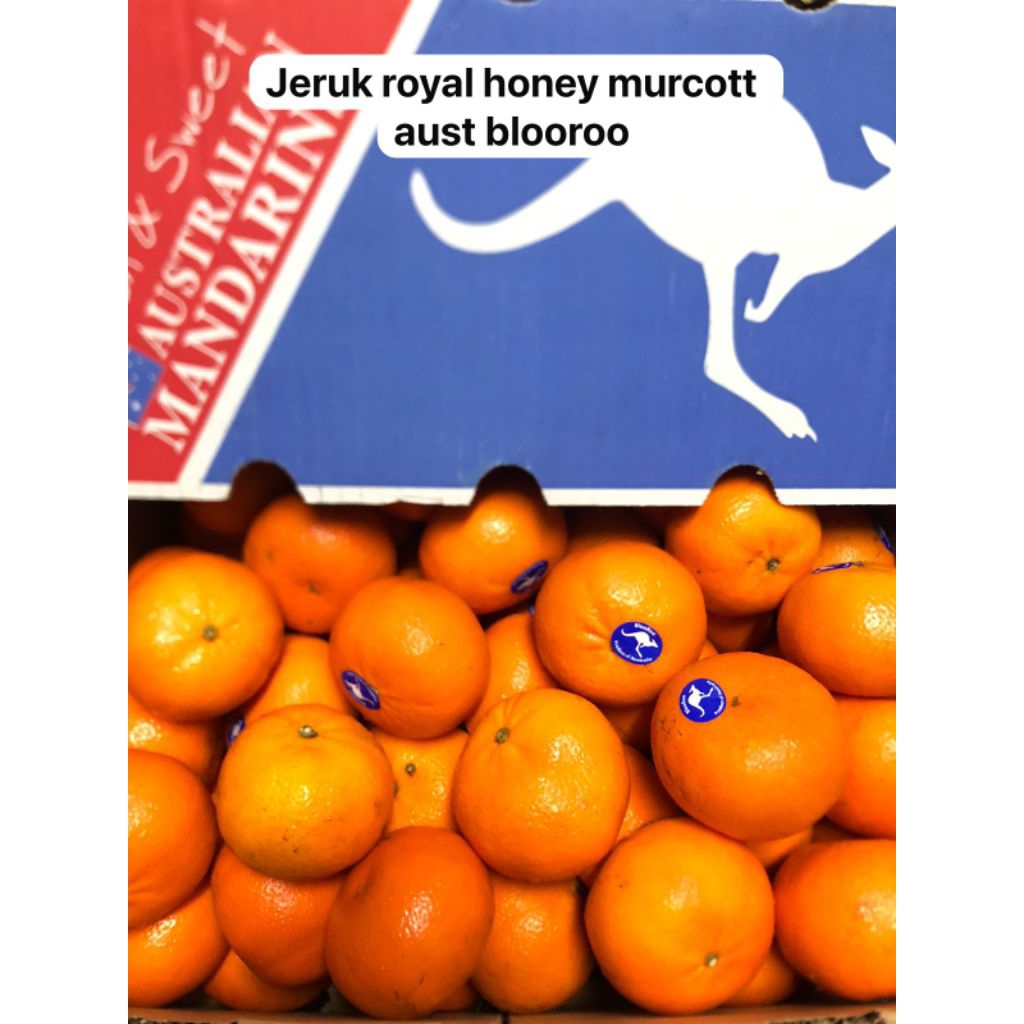 

Jeruk Royal Honey Murcott Aust Blooroo /kg