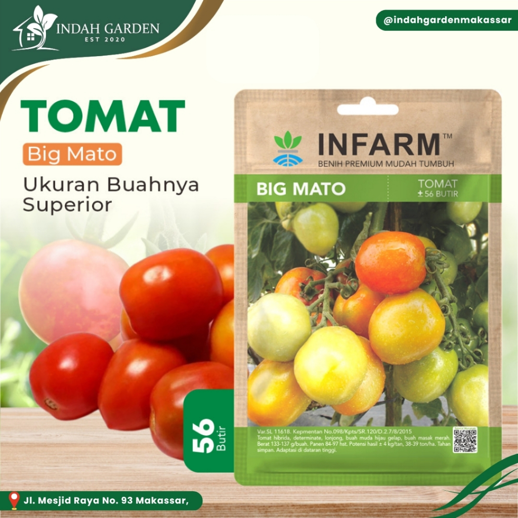 INFARM - Benih Tomat Big Mato - Benih Tomat Buah Besar Benih Tomat Biji Tomat Bibit Tomat Hibrida