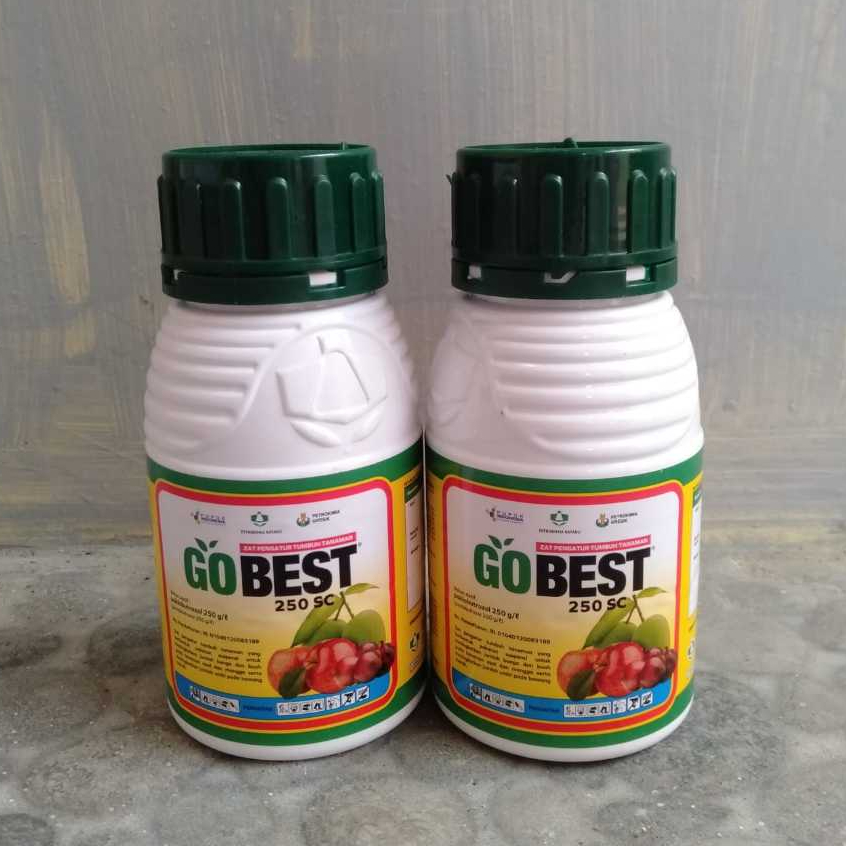 Gobest Go Best 250SC - Zat Pengatur Tumbuh Paklobutrazol - 250ml