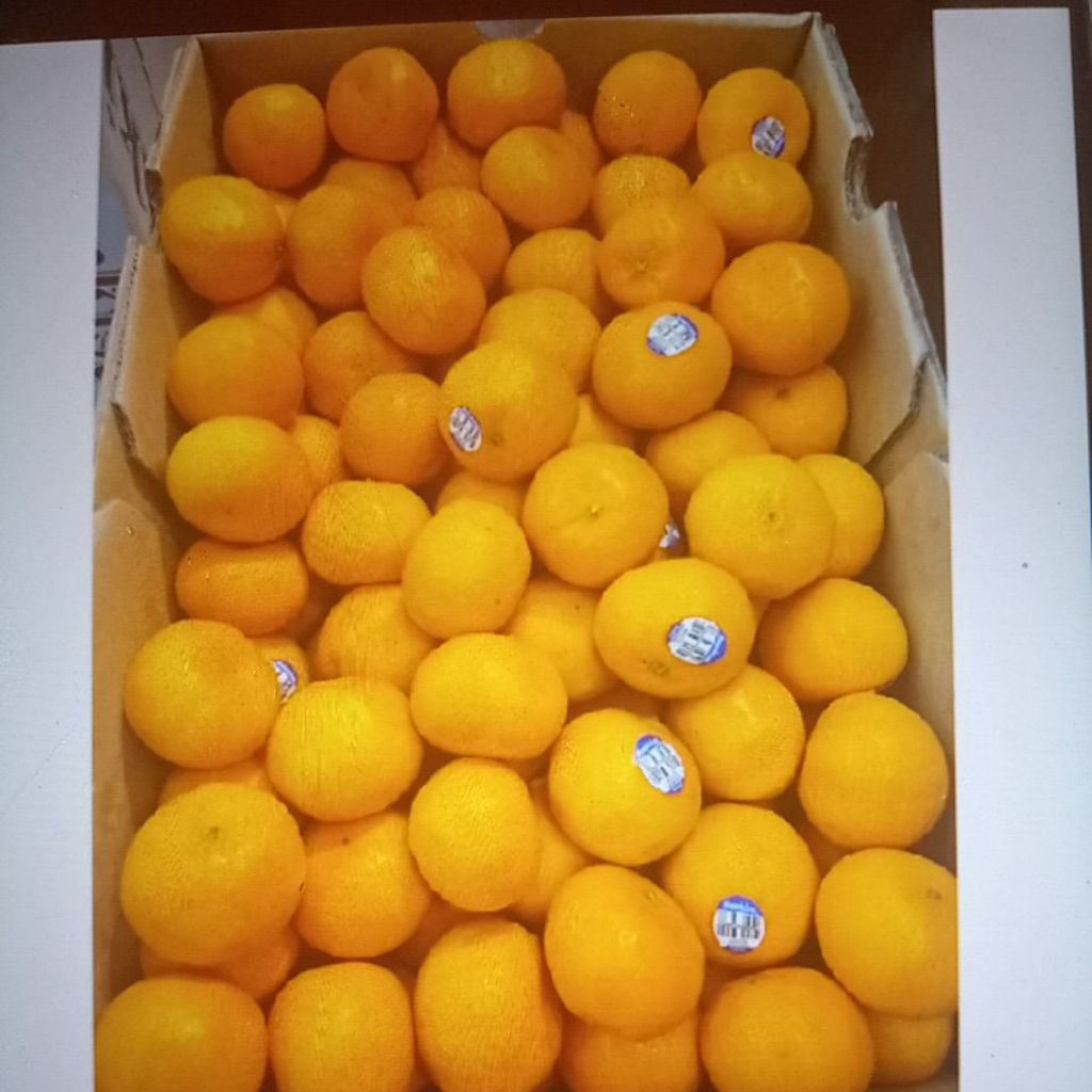 

jeruk imperial ausi manis segar tidak berbiji 8kg/box