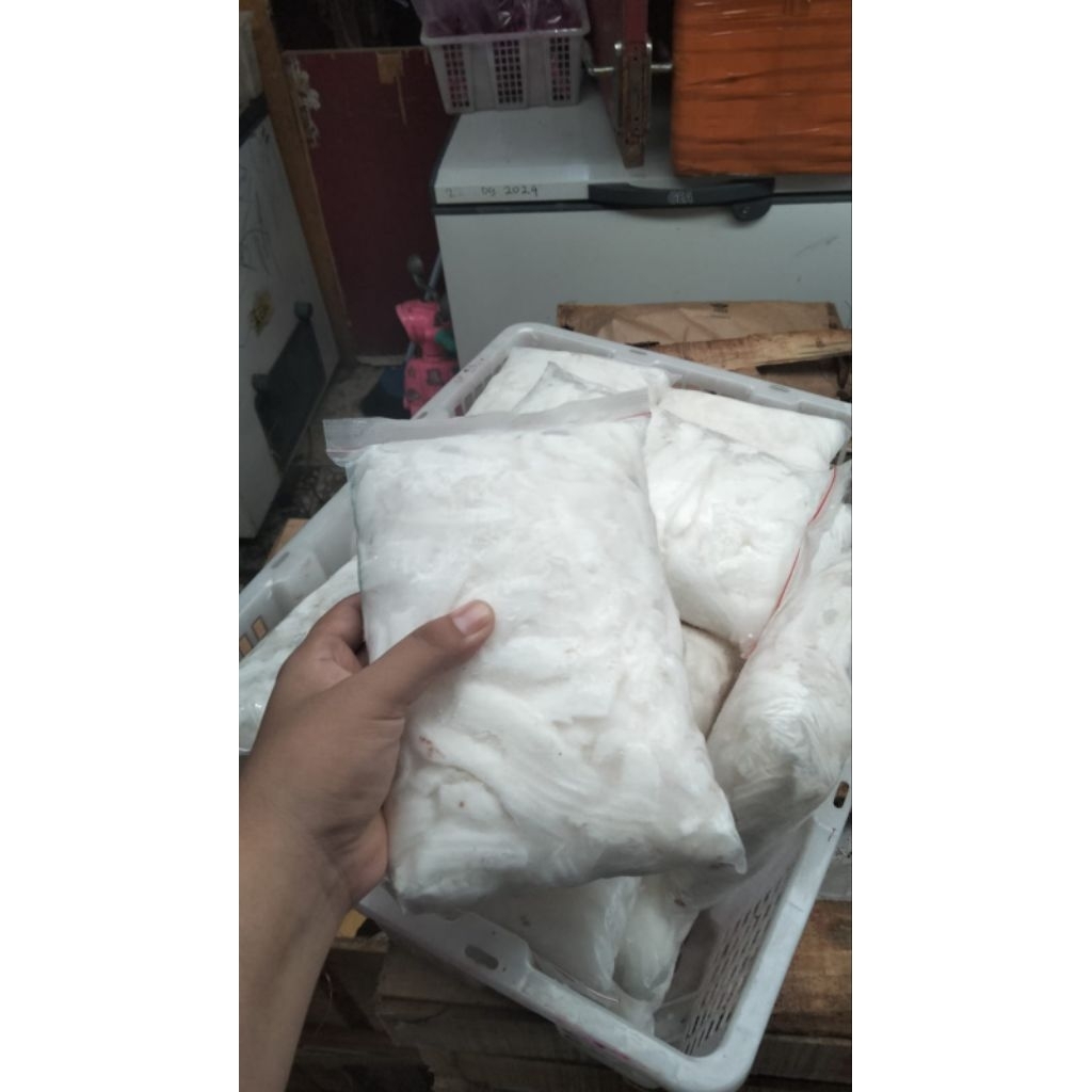 

daging kelapa frozen ( coconut)