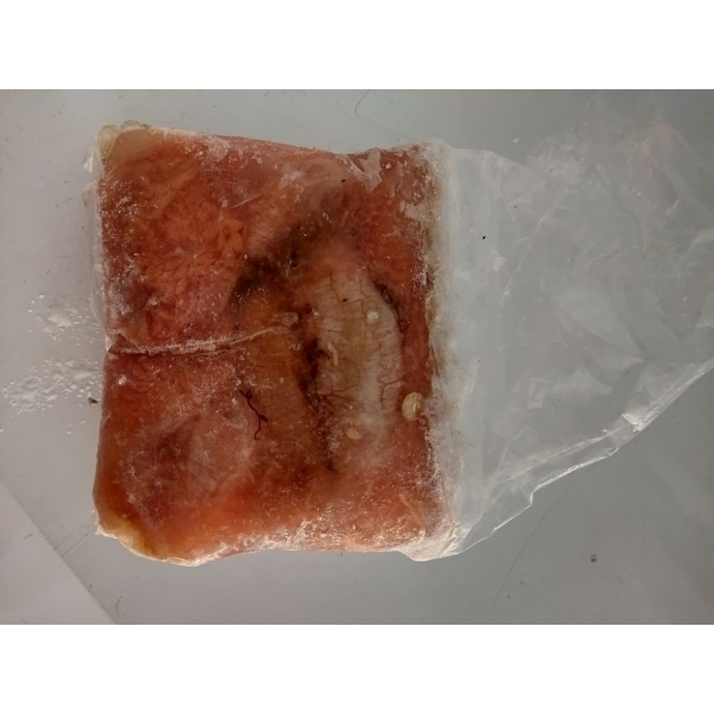 

telur ikan