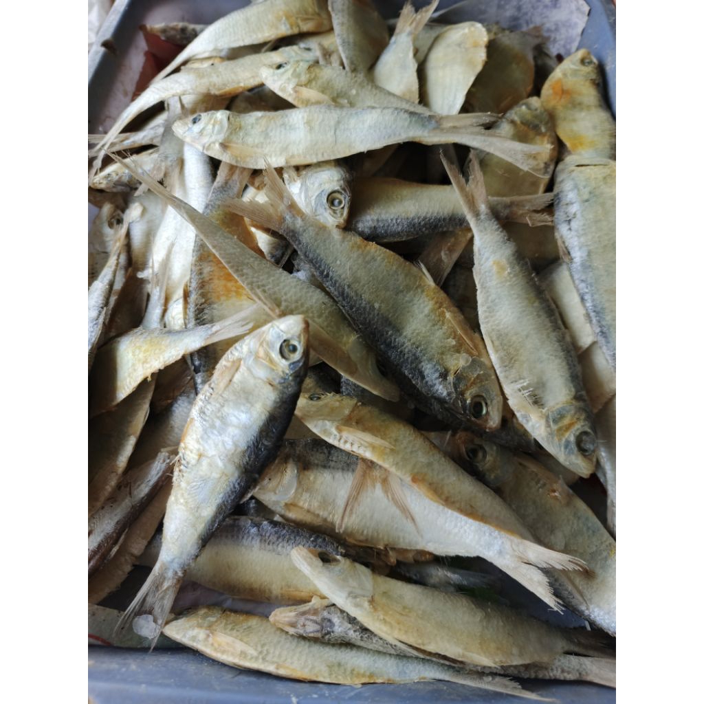 

Grosir ikan asin, ikan asin tembang, ikan tembang, asin tembang, berat 500gram.