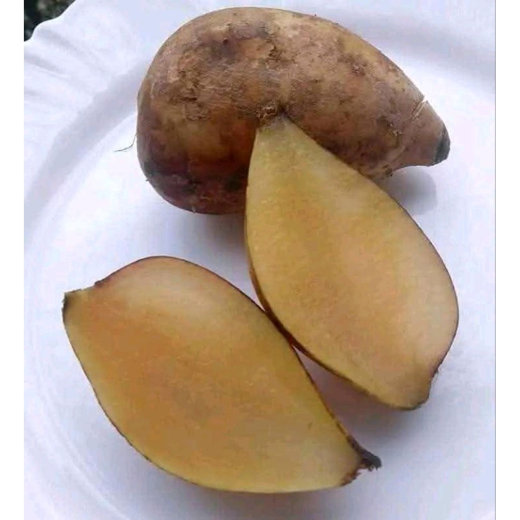 

UBI YACON ASLI WONOSOBO 500gr
