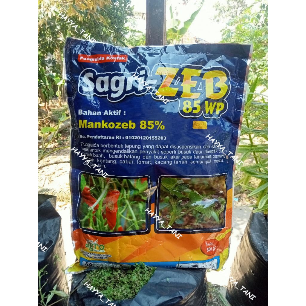 Fungisida Kontak SAGRI-ZEB 85WP