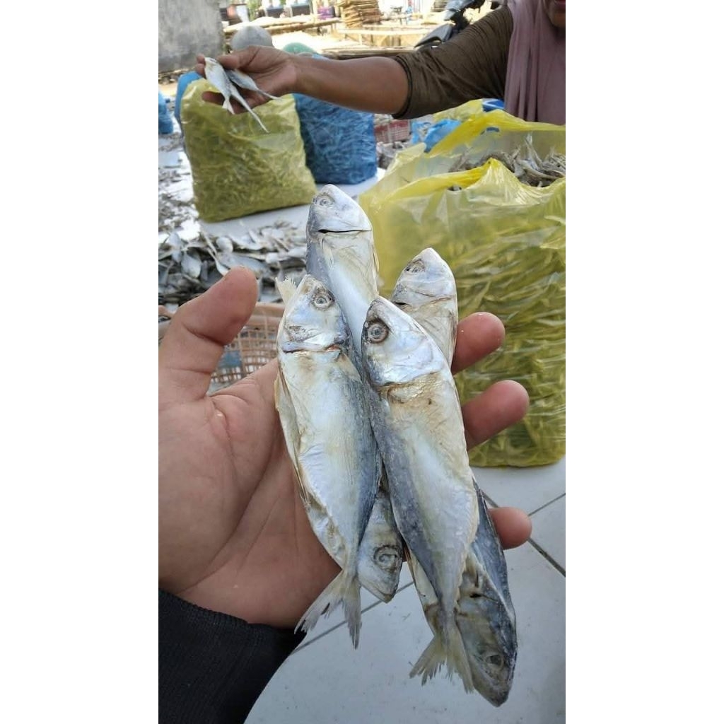 

500Grm Ikan Asin Kembung Kanaren Ikan Asin Kering Gurih
