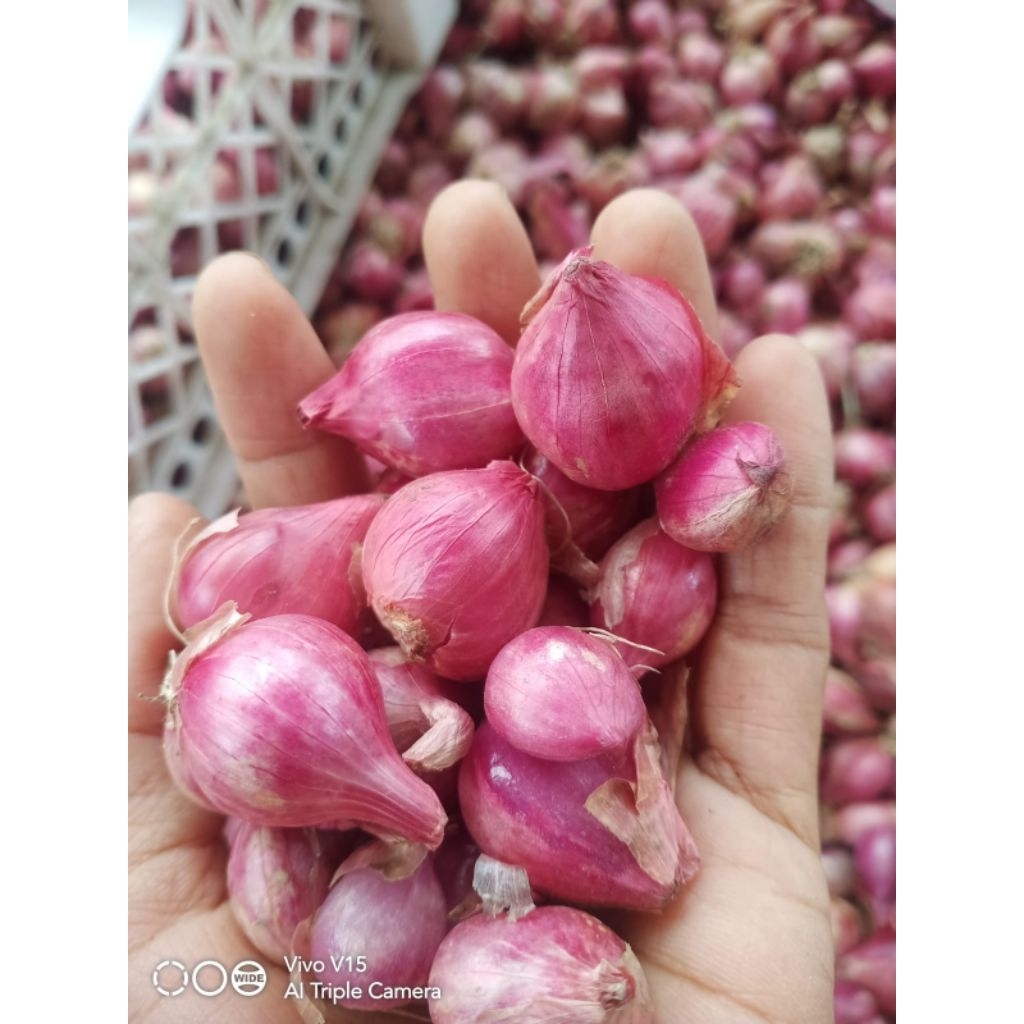 

bawang merah
