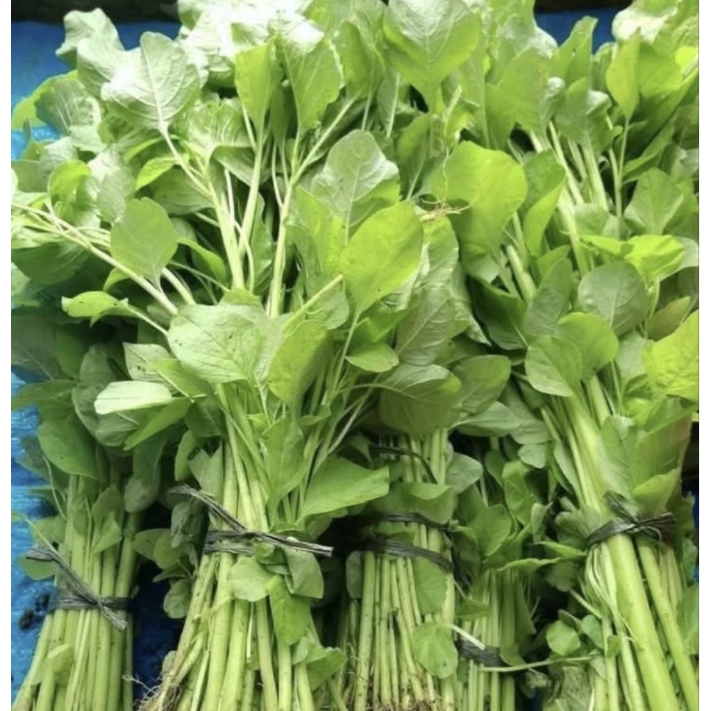 

Sayur Bayam Per Ikat