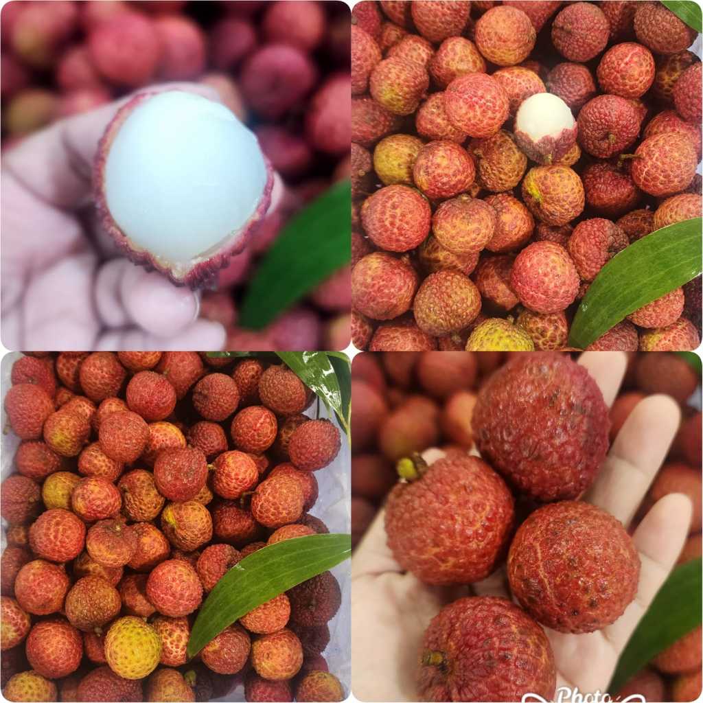 

Buah Leci Segar 1kg