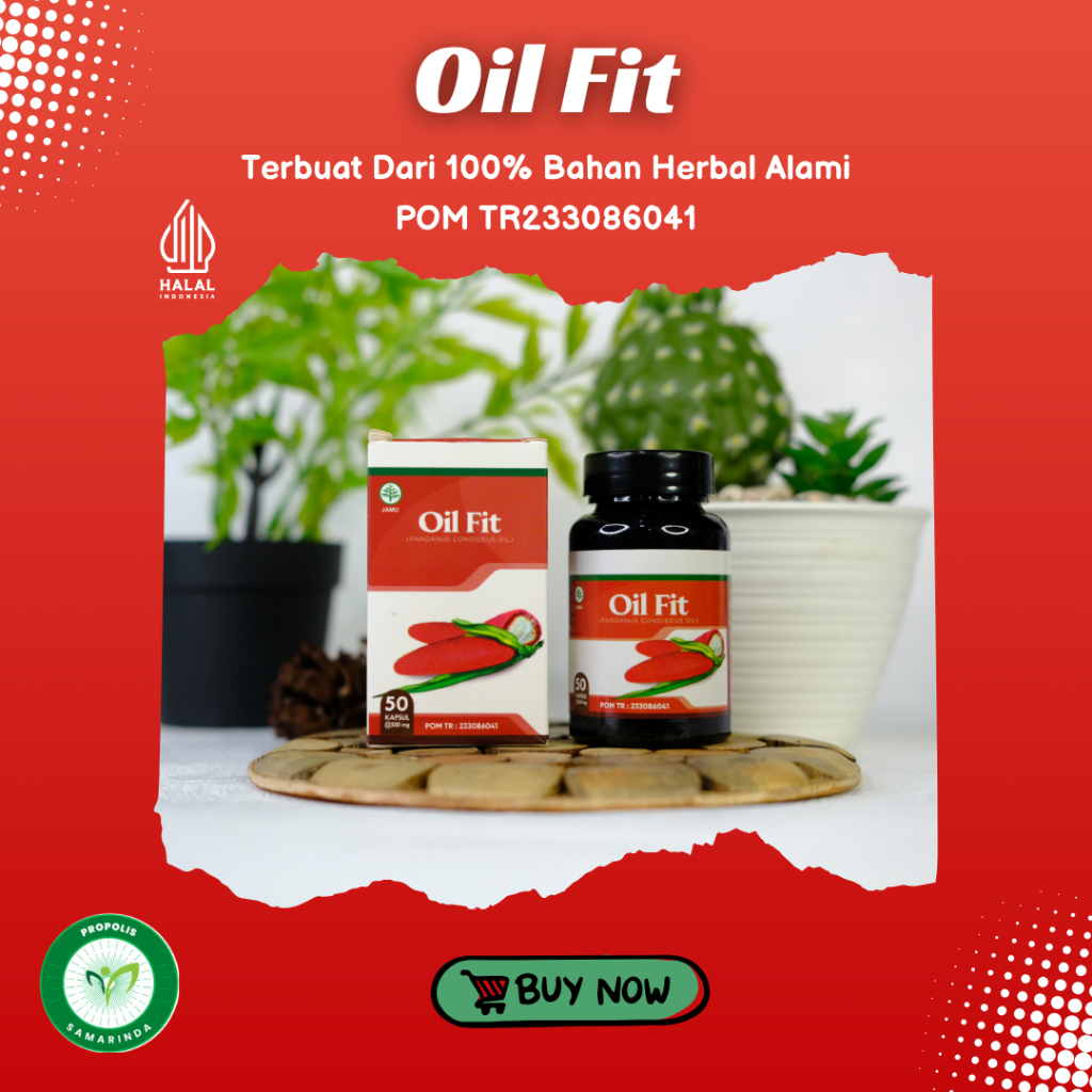 Oil Fit 100% Asli - Kapsul Buah Merah Papua