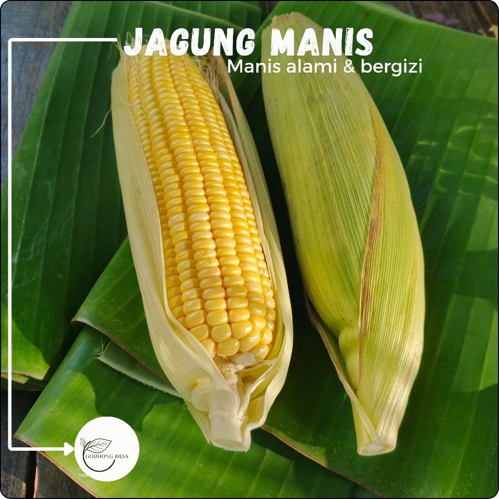 

jagung Super Manis l bonanza f1l buah l sayur fress sehat harga per 1 buah