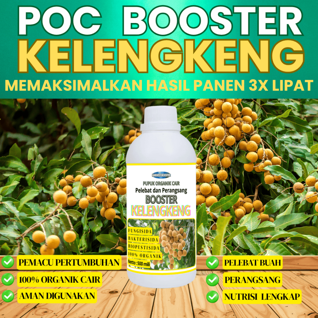 Pupuk buah kelengkeng agar berbuah lebat /  Pupuk booster buah Kelengkeng / pupuk pelebat buah kelen