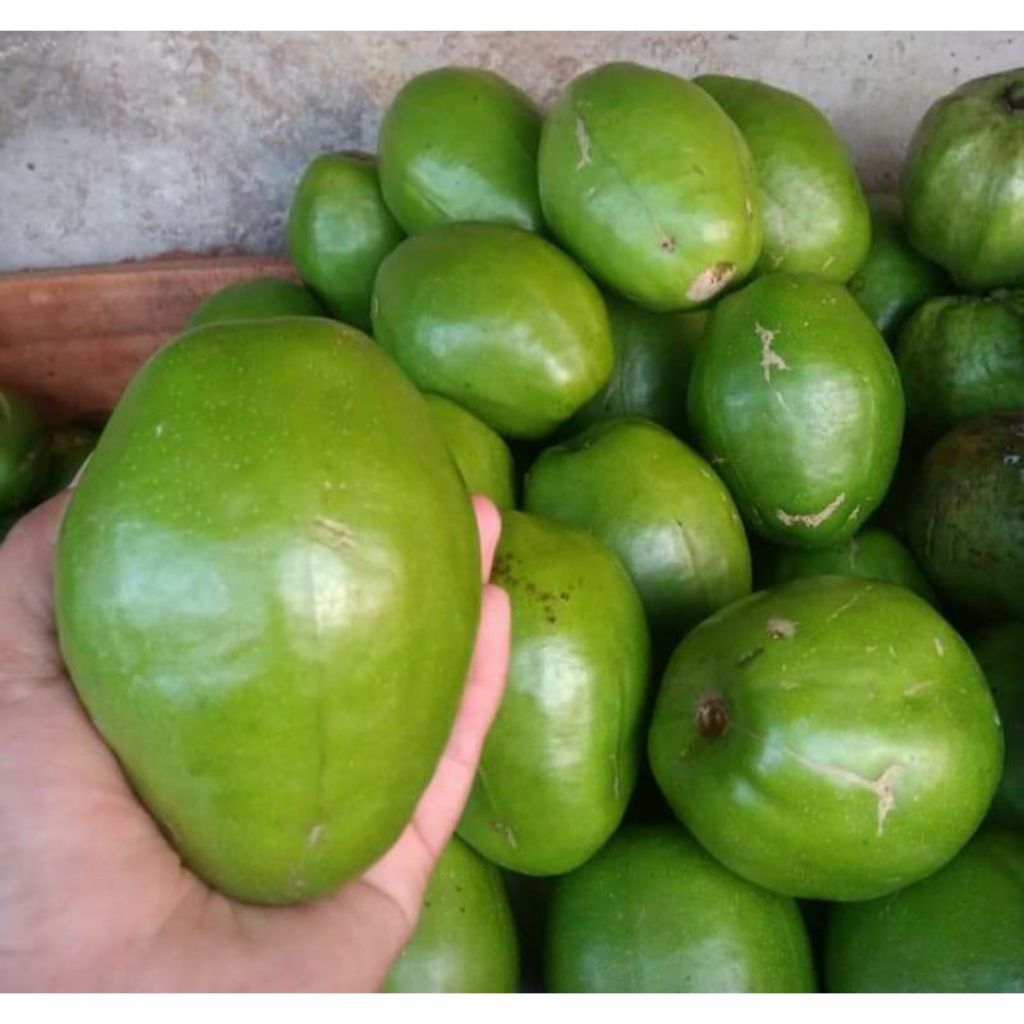

Buah Kedondong Jumbo Super Segar kemasan 1kg