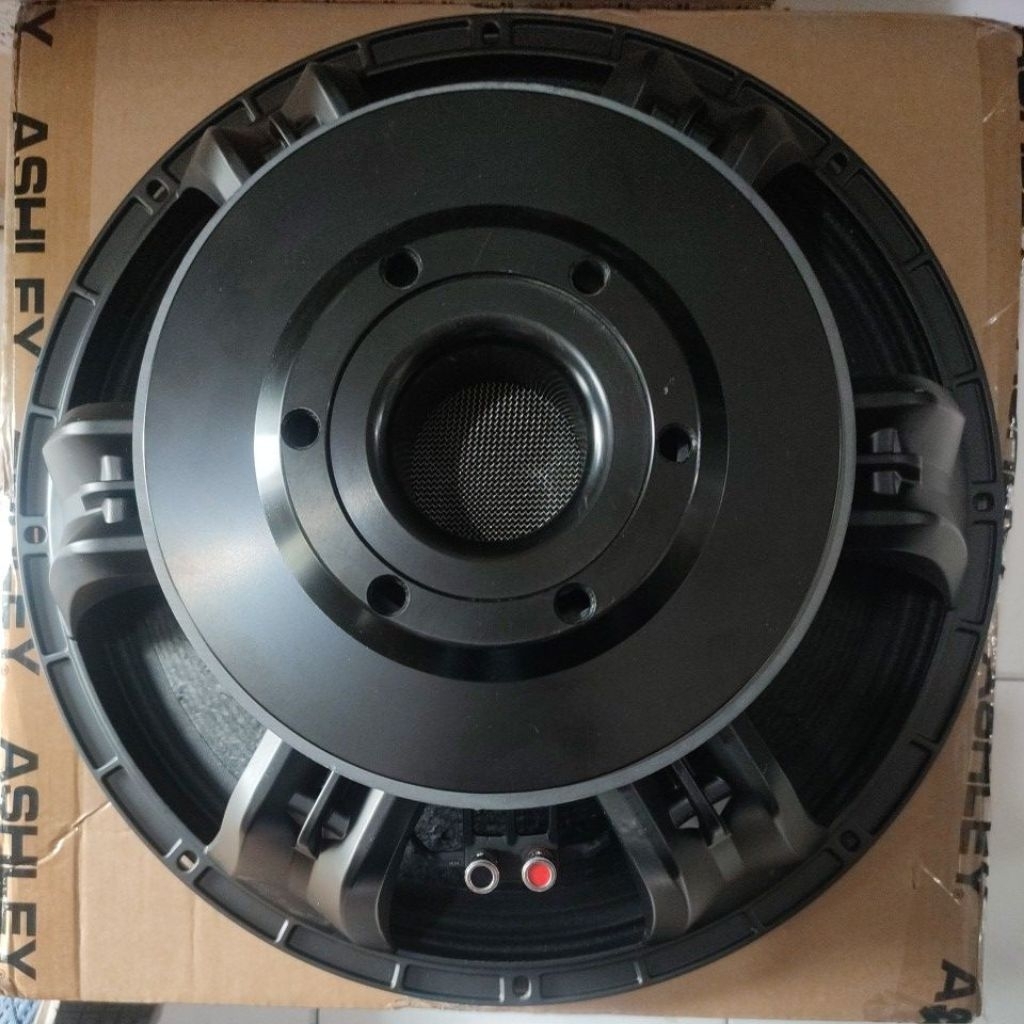 Speaker Ashley LF18V400