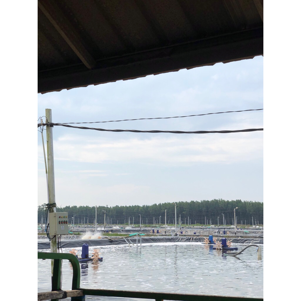 

udara bakauuu bangka