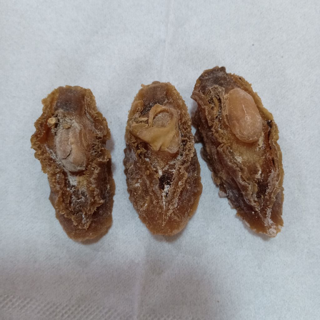 

Abalon Kering / Abalon Fresh / Seafood