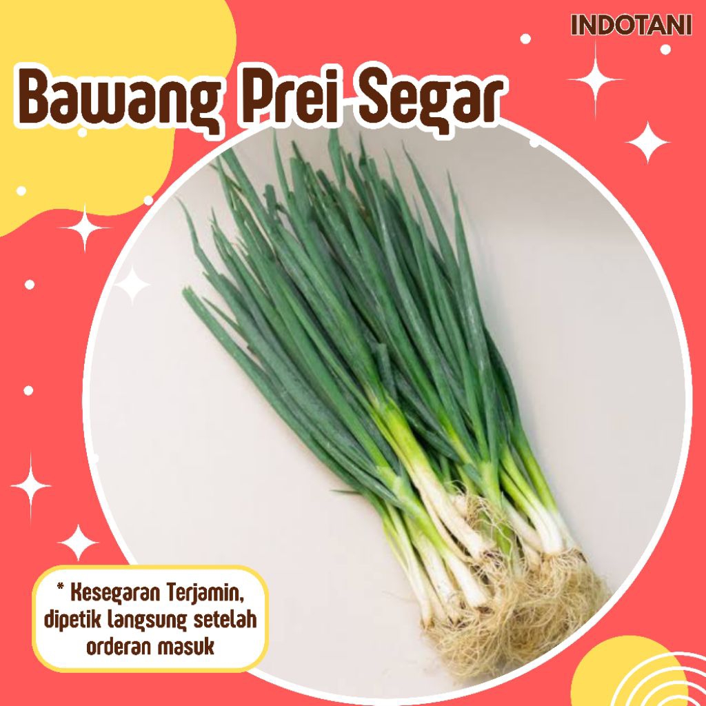 

INDOTANI_ Bawang Daun 250gr / Bawang Daun segar berkualitas / Daun Bawang Prei