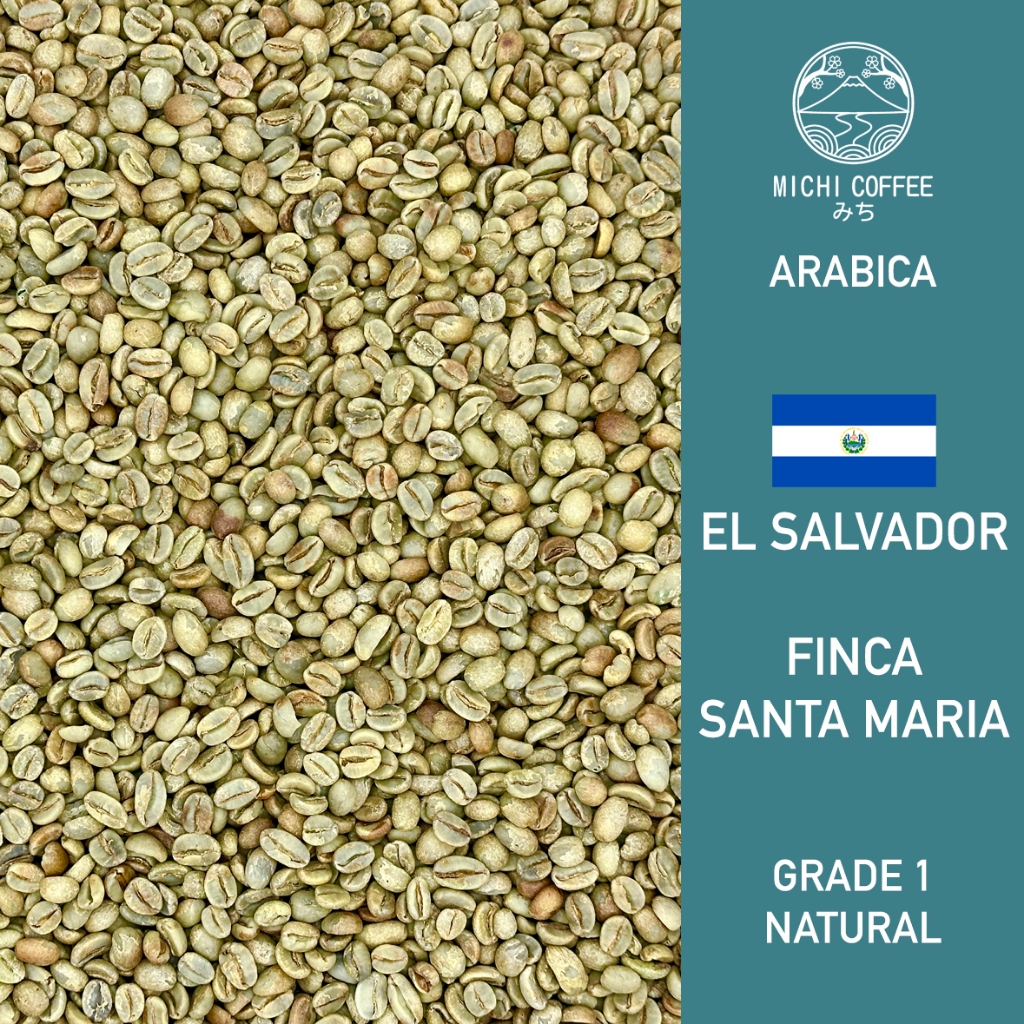 

Single Origin Specialty Green Bean ARABICA EL SALVADOR FINCA SANTA MARIA Biji Mentah Grade 1