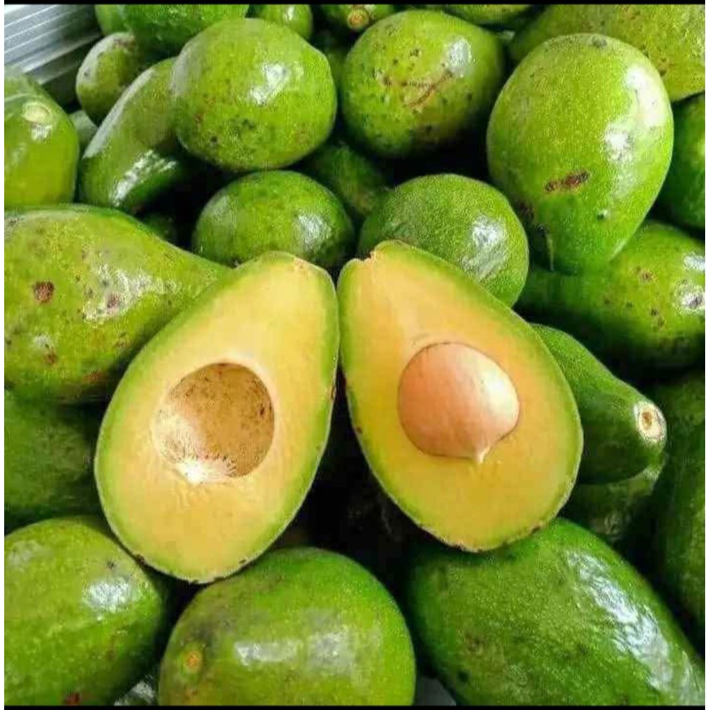 

Alpukat mentega pull tua 1kg