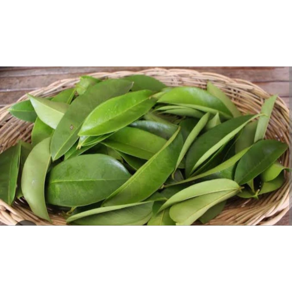 

teh daun sirsak/soursop/annona muricata