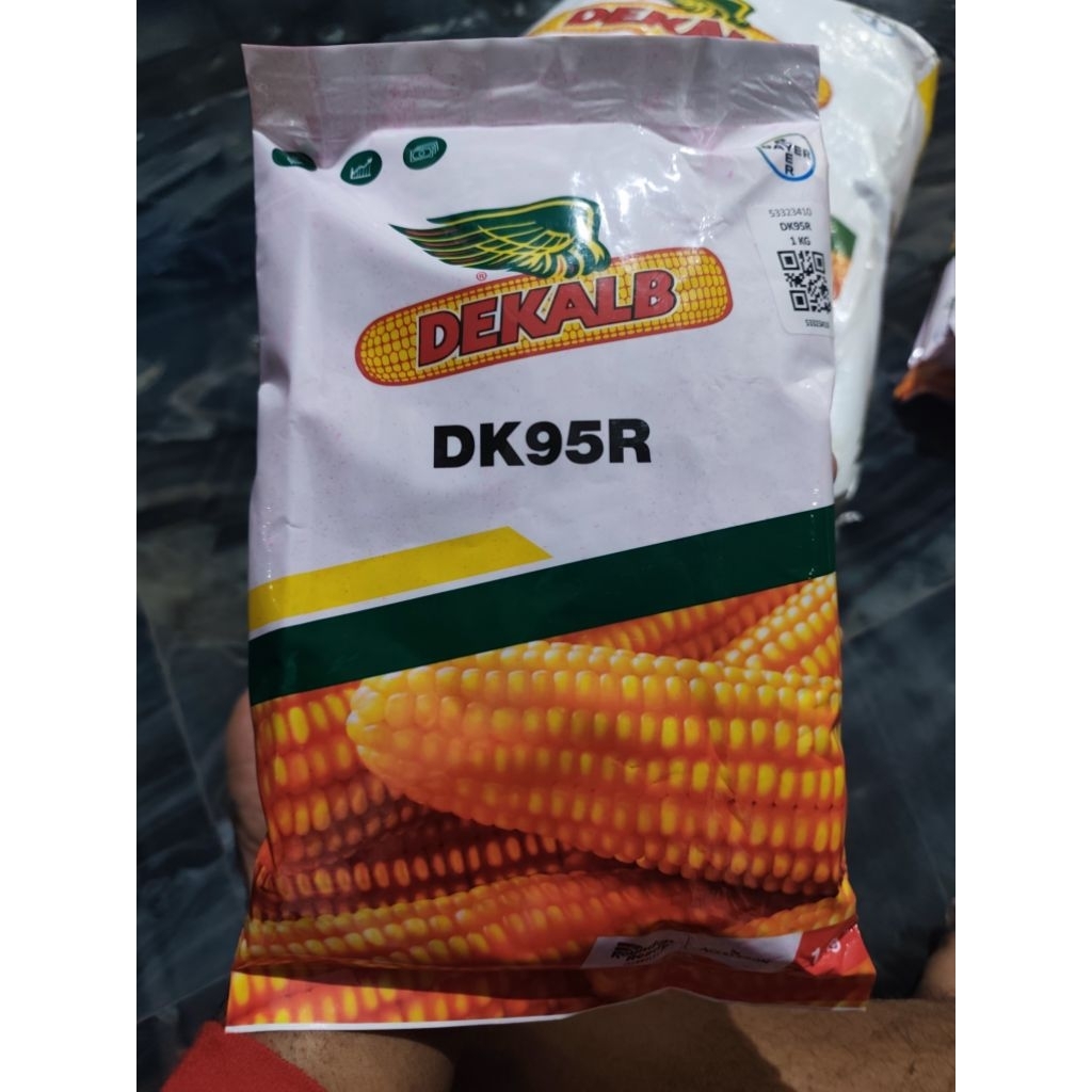 Benih Jagung Dekalb DK95R Tahan Roundup