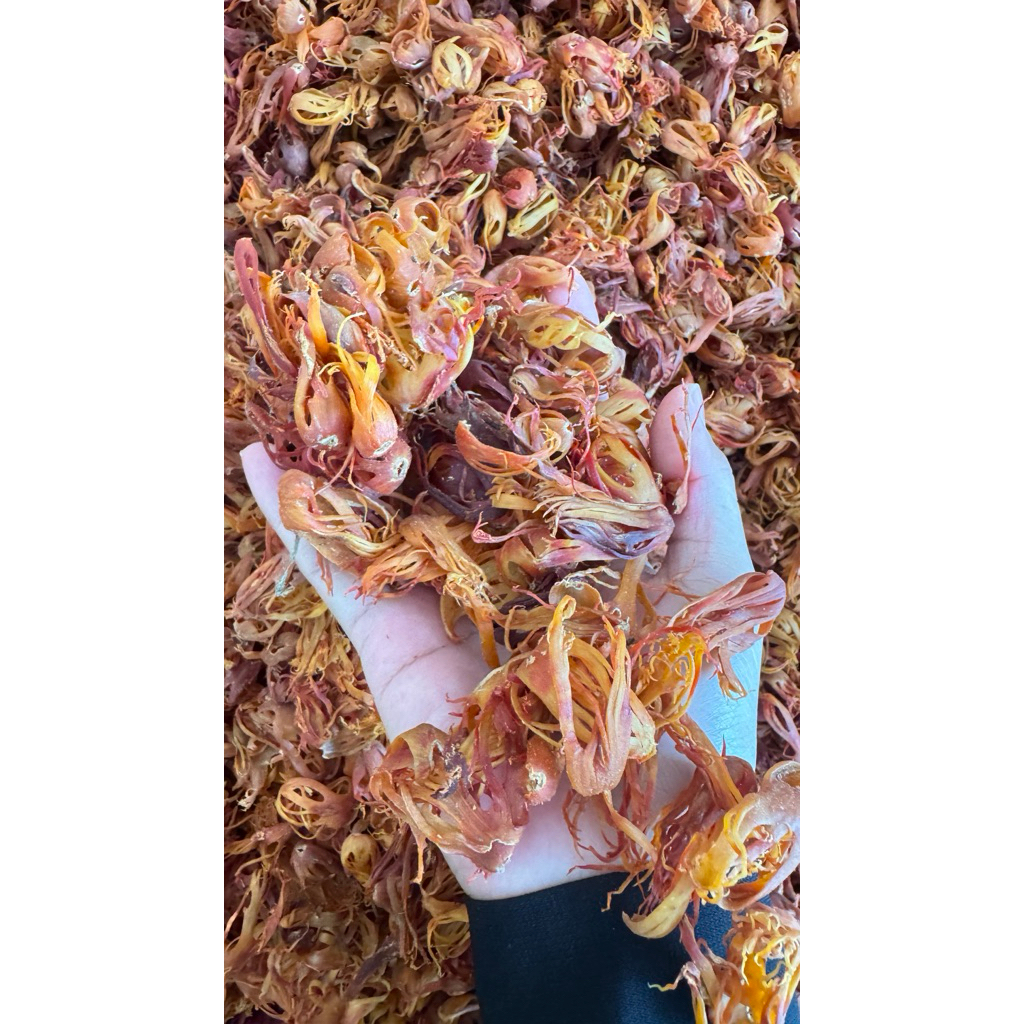 

BUNGA PALA / MACE / FULI / REMPAH REMPAH / BUMBU DAPUR