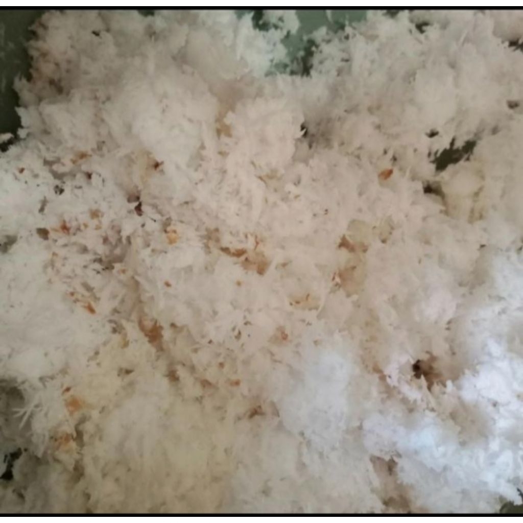 

Kelapa parut per 250gr