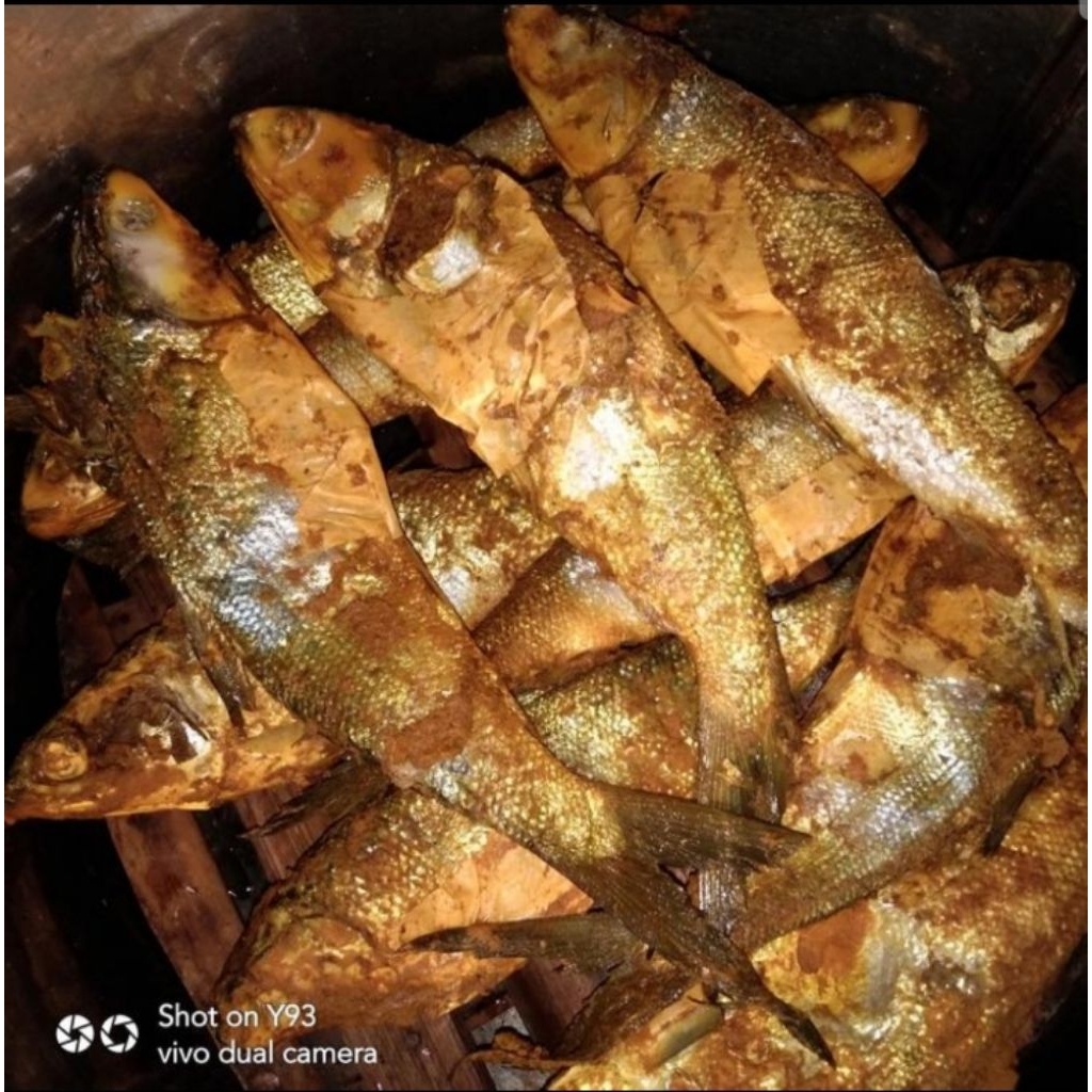 

Pindang presto per ekor