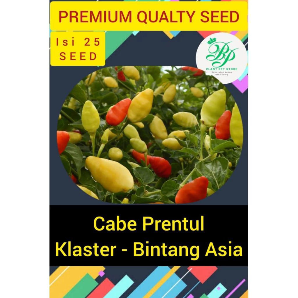 30 Biji Bibit Benih Cabe Rawit Prentul Klaster - BINTANG ASIA
