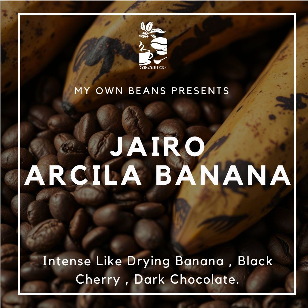 

JAIRO ARCILA BANANA Speciality Coffee Beans BY MY OWN BEANS