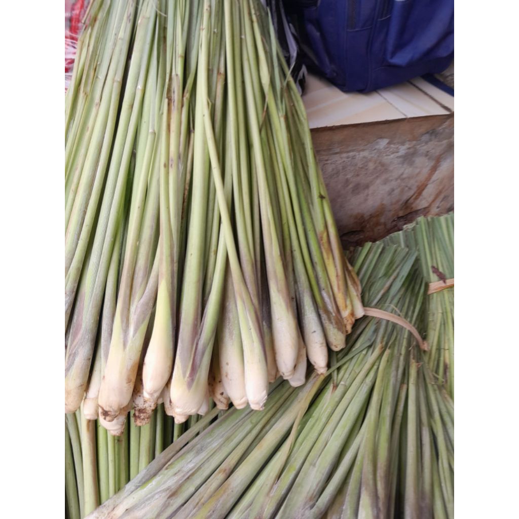 

serai sereh bangkok wangi segar 1kg