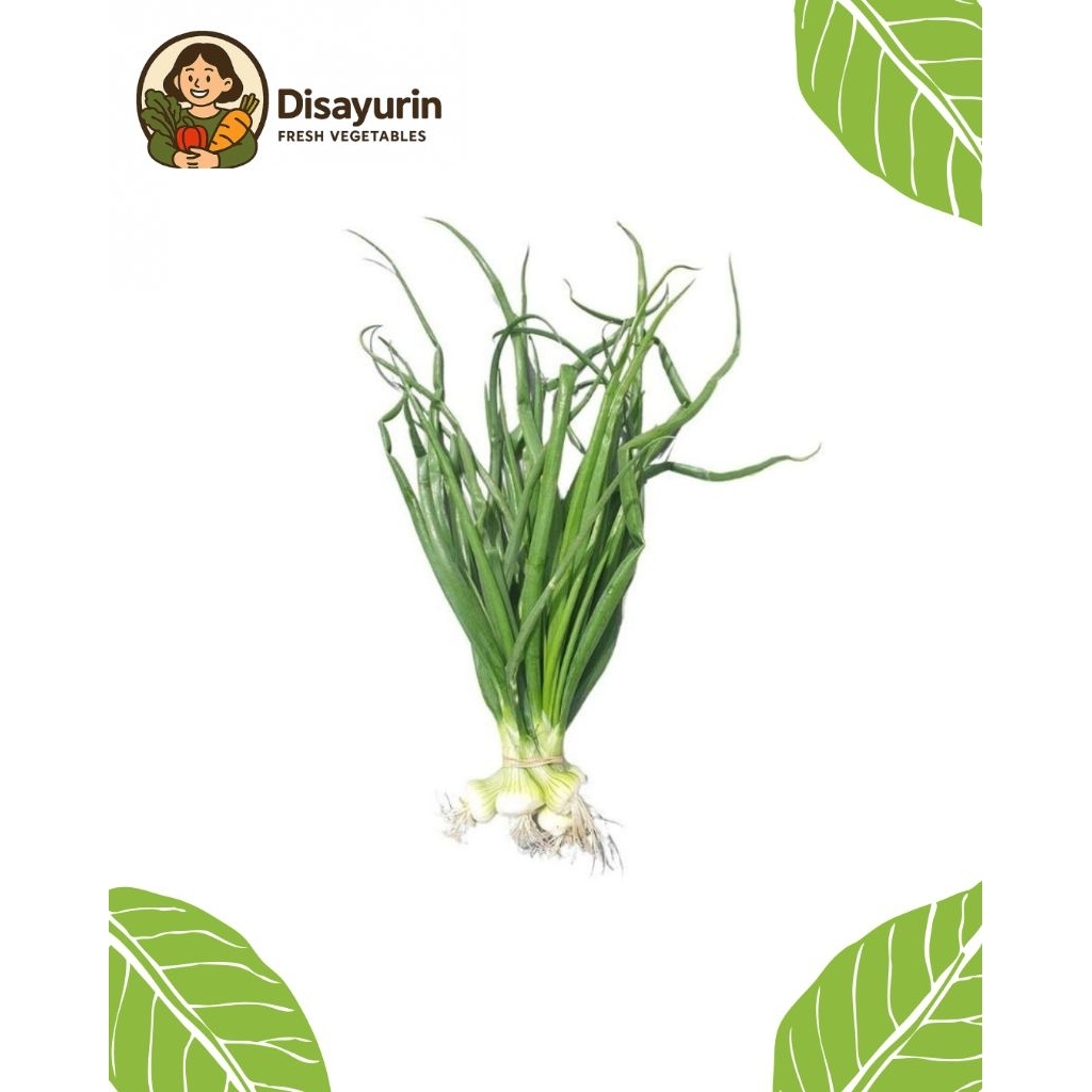 

Daun Bawang ( 1 Ikat )