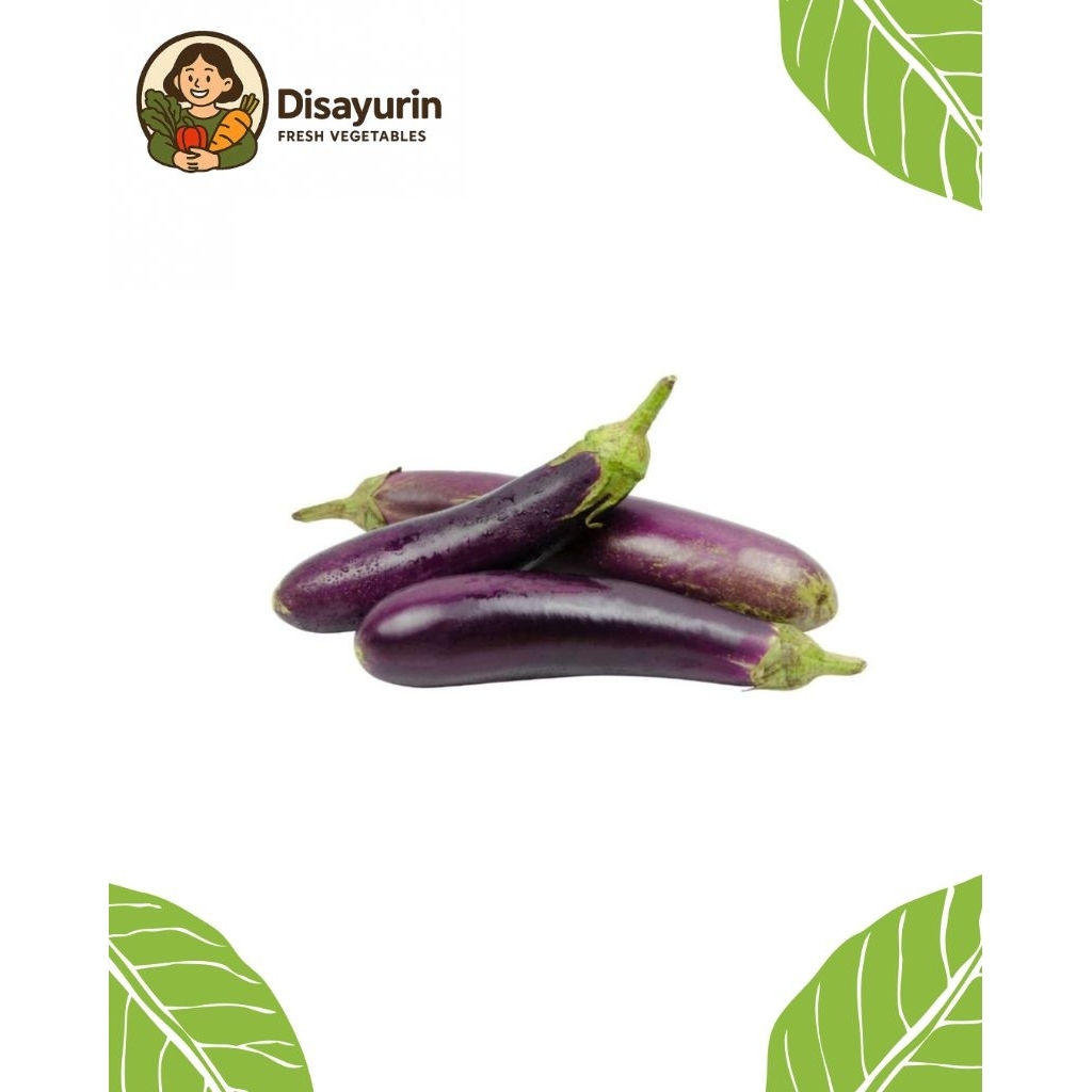 

Terong Ungu ( 500 Gr )