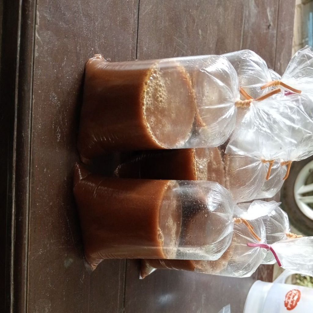 

petis ikan