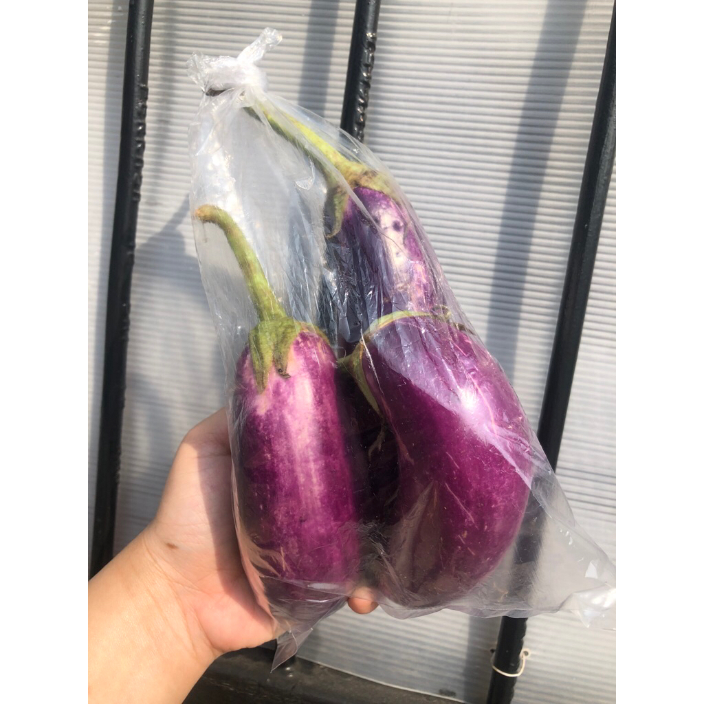 

PAKET TERONG UNGU 5000