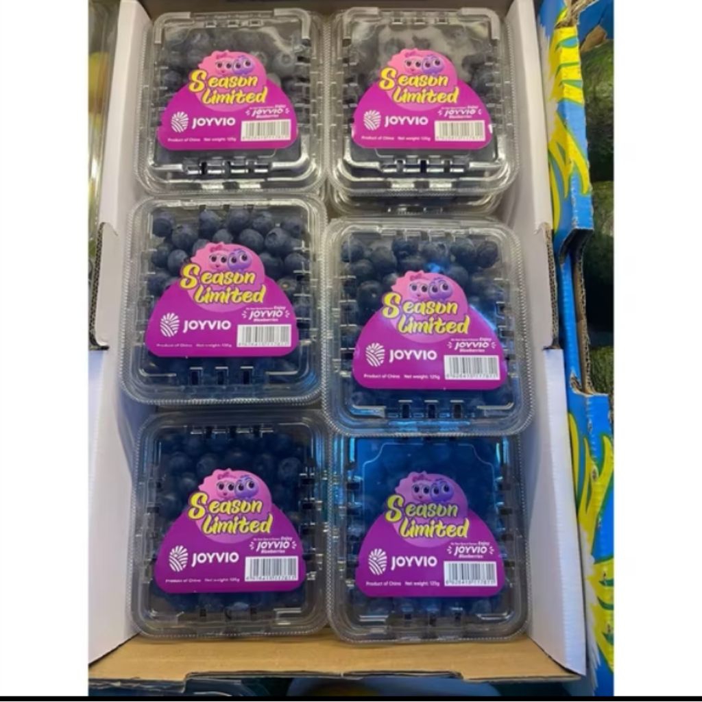 

BluberryJoyvio season limited1box