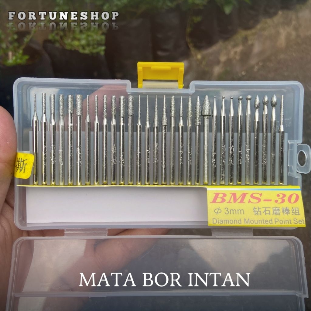 Mata Bor Intan Mini Set 30 Pcs Mata Bor Ukir Diamond Tuner 3 Mm