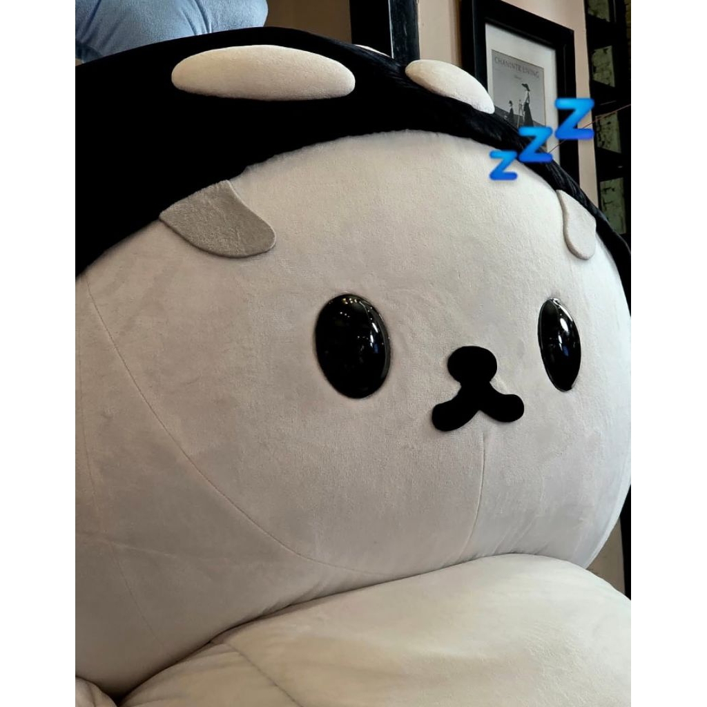 

CO Kecil