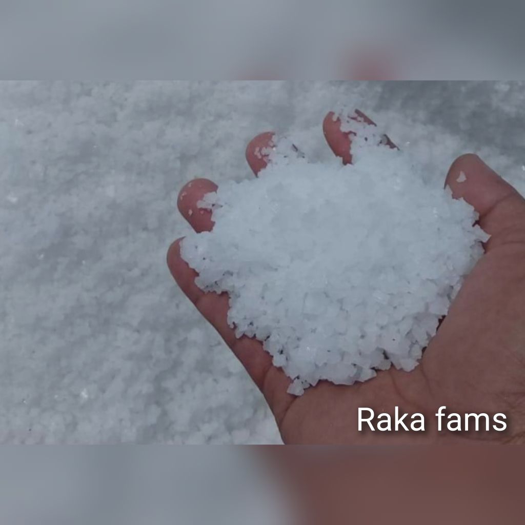 

GARAM PREMIUM GARAM KROSOK UYAH GARAM GROSOK (1KG)