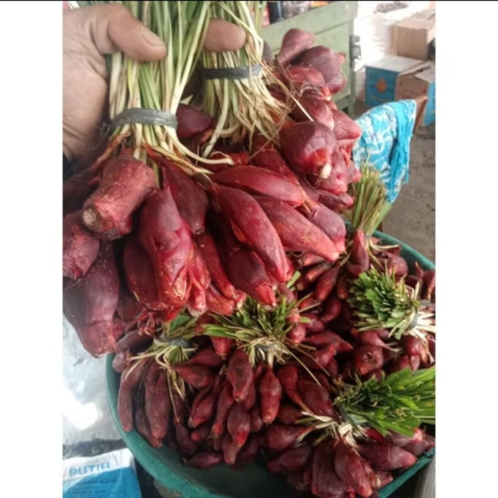 

Bawang dayak segar grade A per 1kg