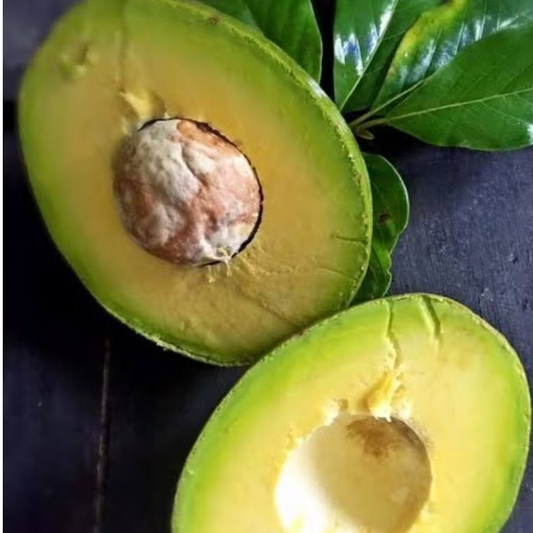 

buah alpukat mentega mentah 1kg/500grm isi 5-6