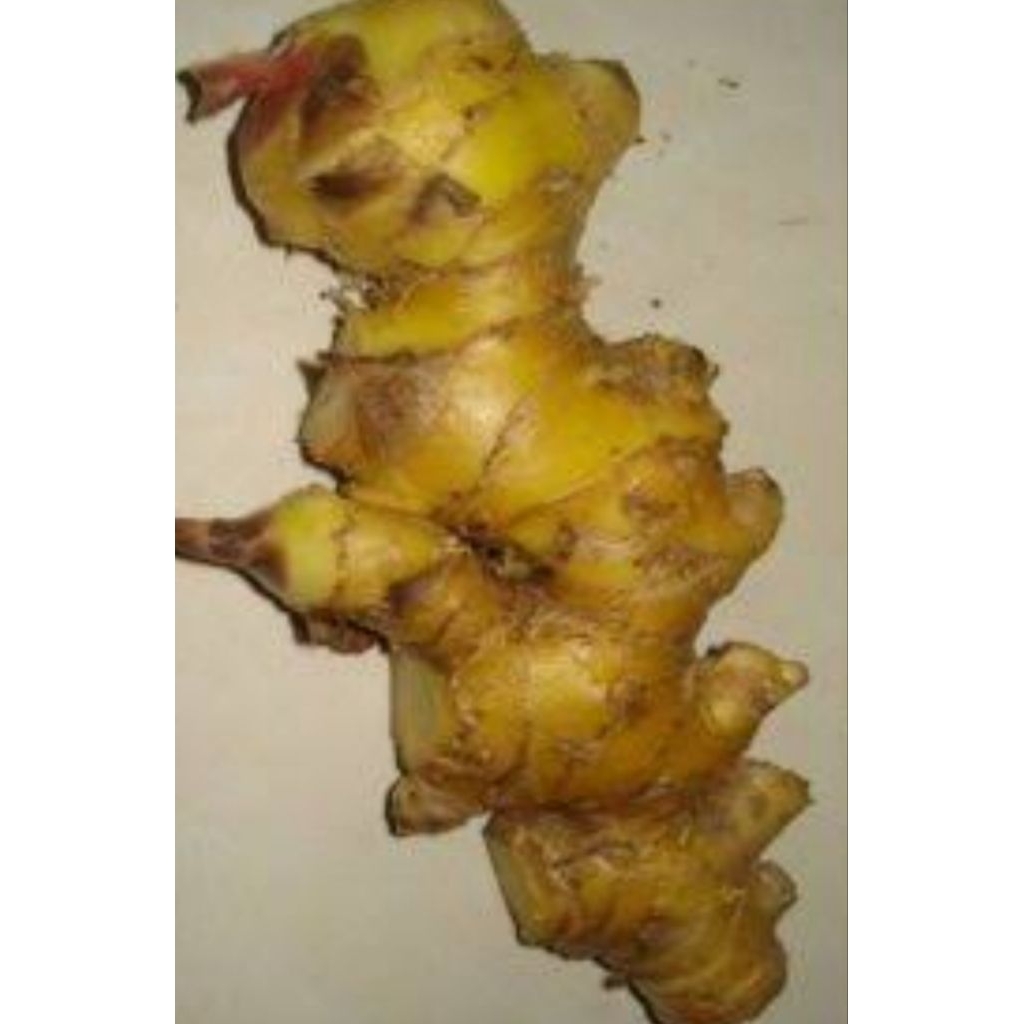 

Lempuyang asli organik berat 100gr rempah asli indonesia