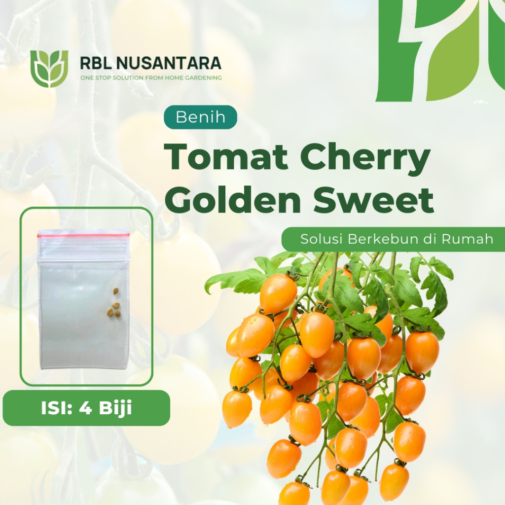 RBLN - 4 Benih Tomat Cherry Golden Sweet