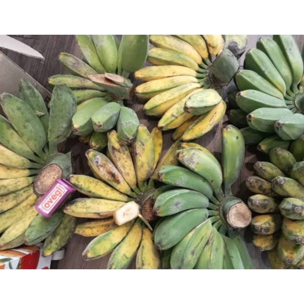 

pisang kepok 1 lirang bppn